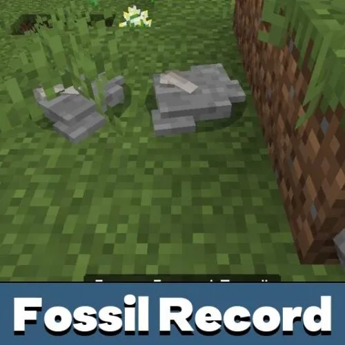 Fossil Record Mod for Minecraft PE