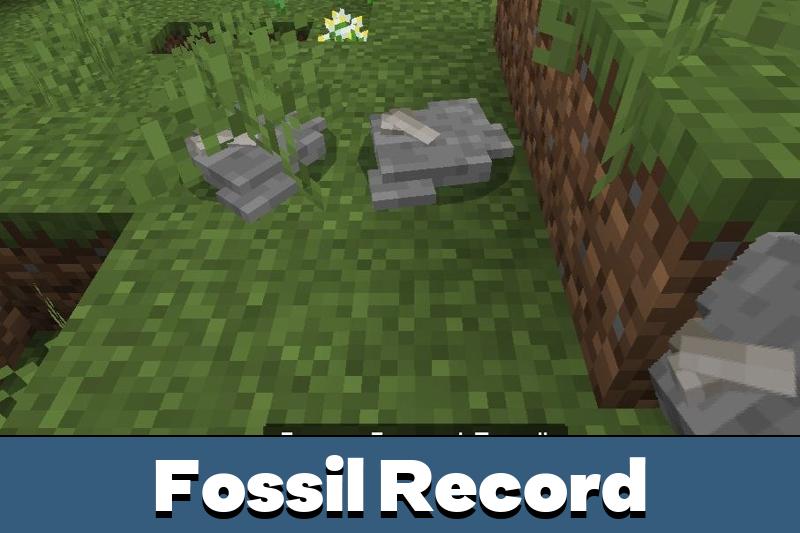 Download Fossil Record Mod for Minecraft Bedrock Edition