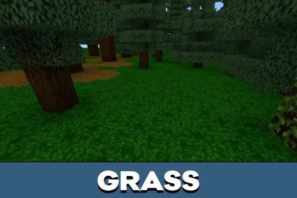 Grass from The Lost Horror Map for Minecraft PE