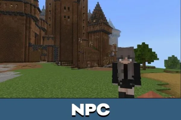 NPC from Noob Map for Minecraft PE