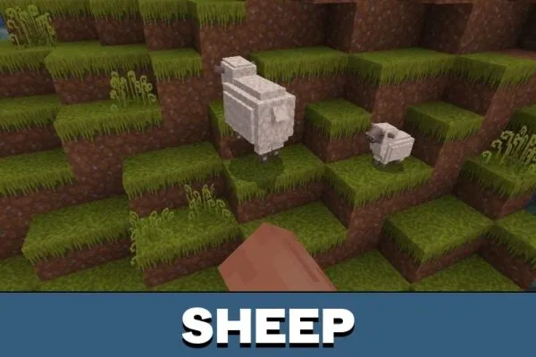 Sheep from Kingdoms Texture Pack for Minecraft PE