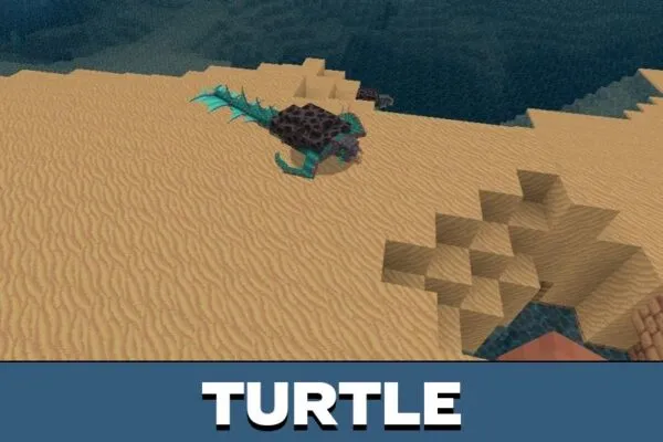 Turtle from Kingdoms Texture Pack for Minecraft PE