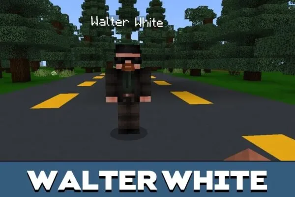 Walter White from Lost Horror Map for Minecraft PE