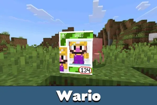 Wario from Funko Box Mod for Minecraft PE