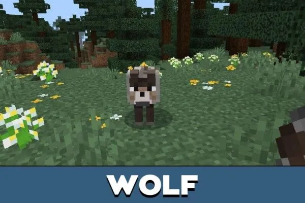 Wolf from Alfa and Beta Legacy Mod for Minecraft PE