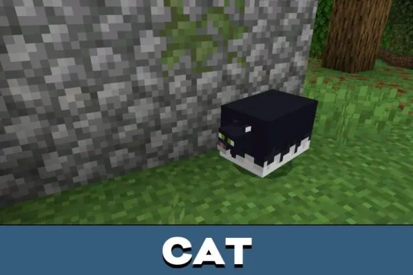 Cat from Fat Mobs Mod for Minecraft PE