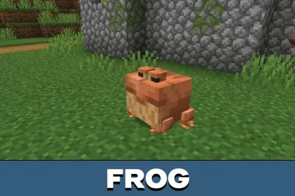 Frog from Fat Mobs Mod for Minecraft PE