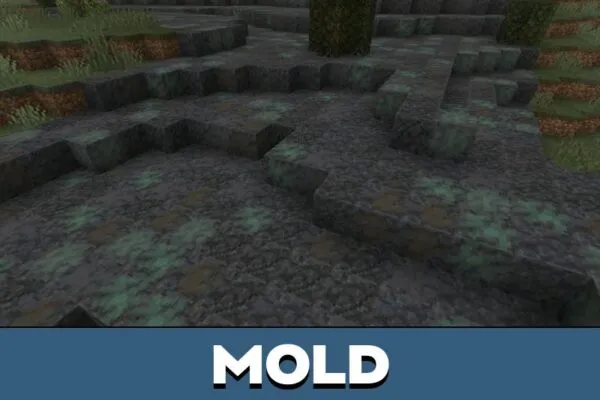 Mold from The Smile Fungus Mod for Minecraft PE