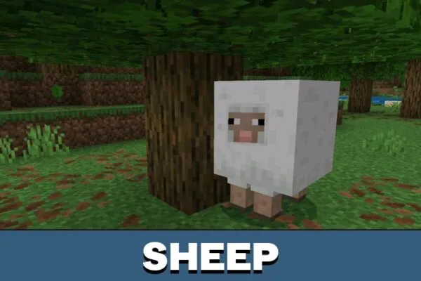 Sheep from Fat Mobs Mod for Minecraft PE