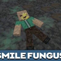 The Smile Fungus Mod for Minecraft PE