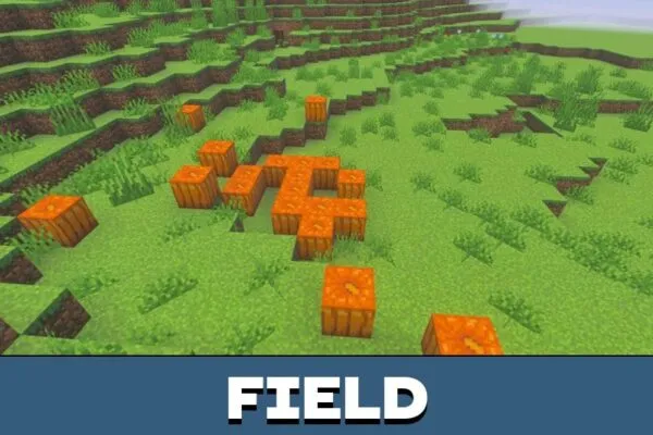 Field from No Lag Shader for Minecraft PE