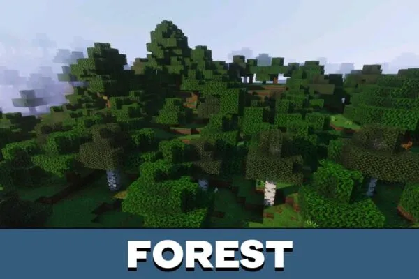 Forest from Zenith Visuals Shader for Minecraft PE