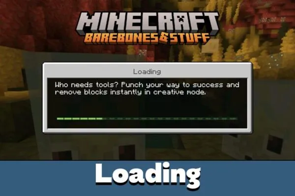 Loading from Bare Bones Texture Pack for Minecraft PE