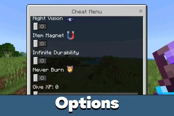 Options from Creative Cheat for Minecraft PE