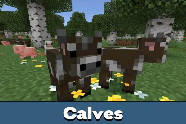 Calves from Minecraft 26