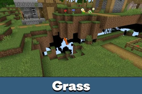 Grass from X Ray Texture Pack for Minecraft PE