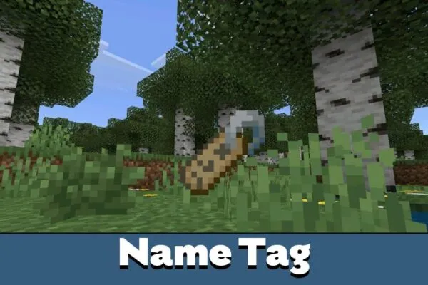 Name Tag from Minecraft 26