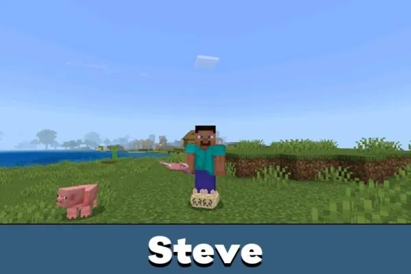Steve from Chikawa Mob Mod for Minecraft PE