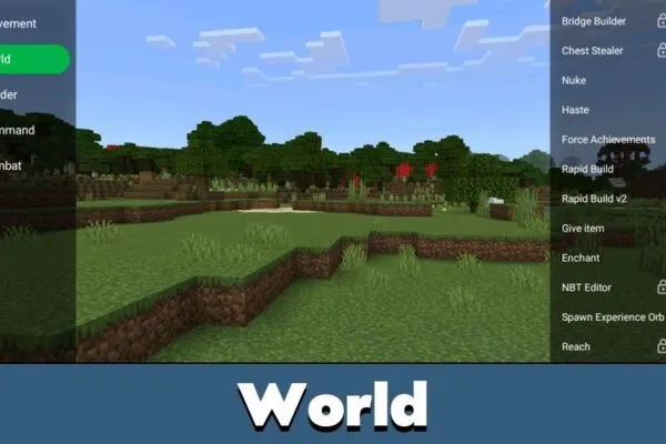 World from Toolbox Cheat for Minecraft PE