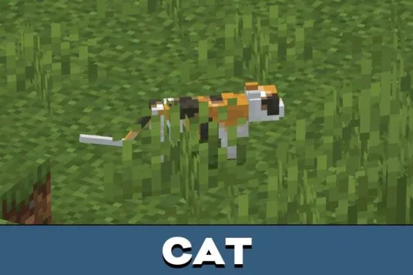 Cat from Zoom mod for Minecraft PE