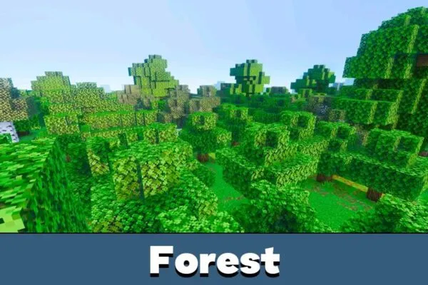 Forest from Newb Lumina Shader for Minecraft PE