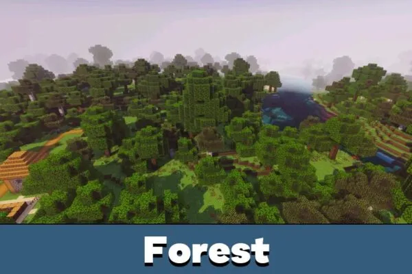 Forest from Prizma Shader for Minecraft PE