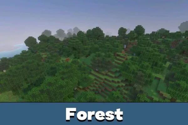 Forest from Spectrum Shader for Minecraft PE