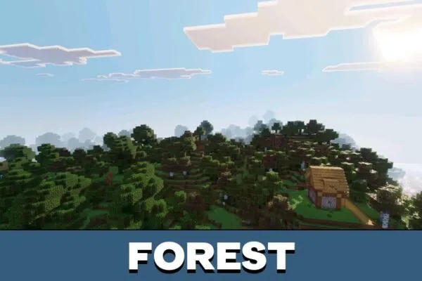 Forest from Zen Visuals Shader for Minecraft PE