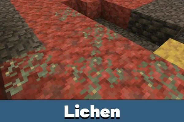 Lichen from Minecraft 26.20.24