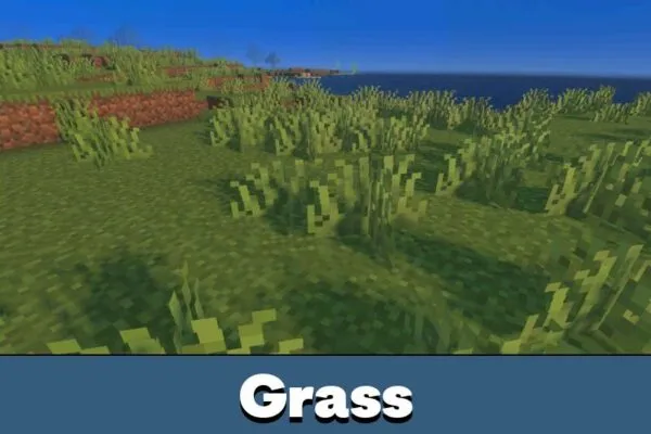 Grass from Lumina Prime Shader for Minecraft PE
