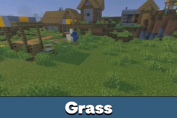 Grass from Newb Complemetary Shader for Minecraft PE