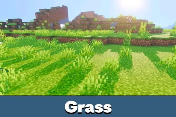 Grass from Newb Lumina Shader for Minecraft PE