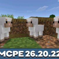 Minecraft 26.20.22 (1.26.20.22)