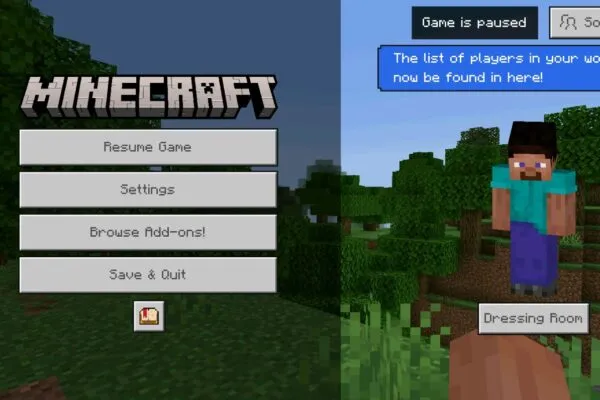 Minecraft 26.3 pause