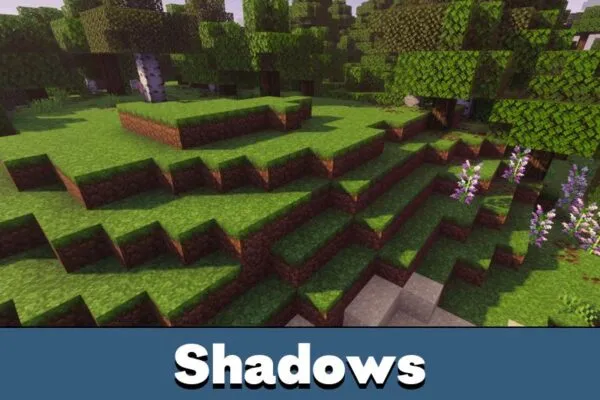Shadows from Prizma Shader for Minecraft PE