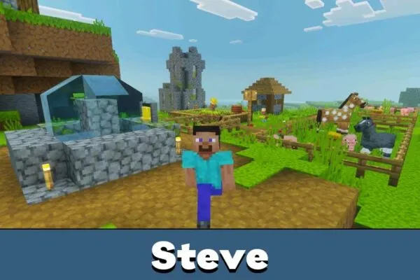 Steve from Action and Stuff Texture Pack for Minecraft pE
