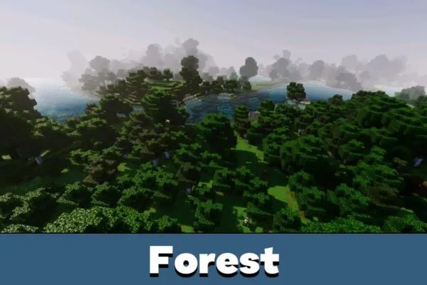 Forest from VSL Shader for Minecraft PE