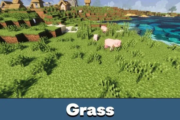 Grass from Lotiif Visuals Shader for Minecraft PE