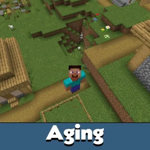 Aging Mod for Minecraft PE