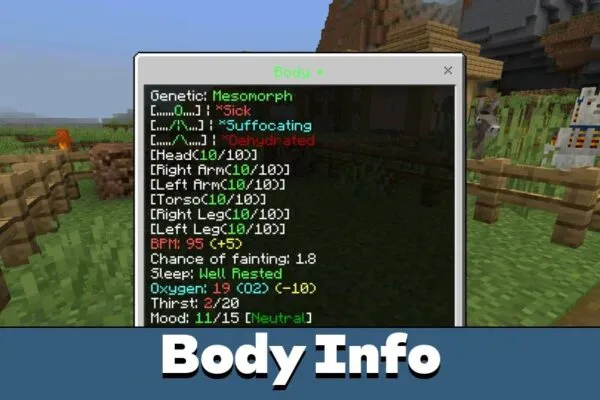 Body Info from Karmaphobia Mod for Minecraft PE