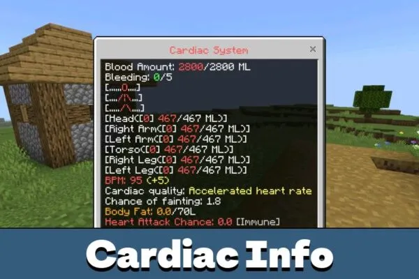 Cardiac Info from Karmaphobia Mod for Minecraft PE