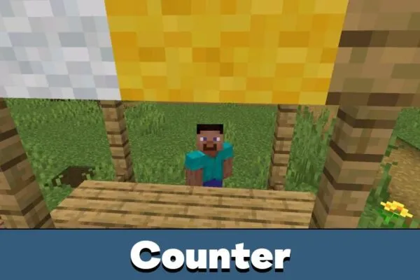 Counter from Aging Mod for Minecraft PE