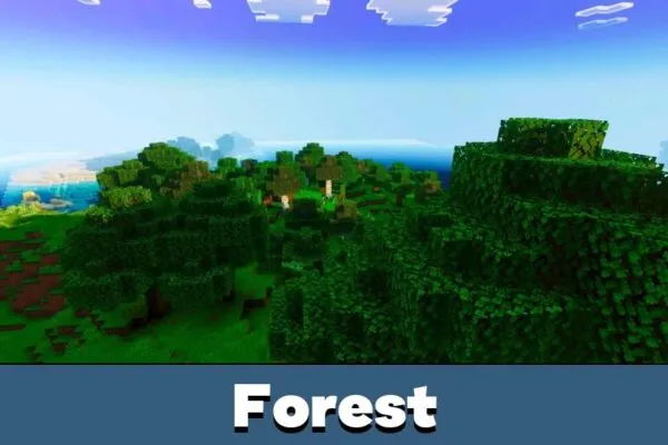 Forest from Luvid Visuals Shader for Minecraft PE