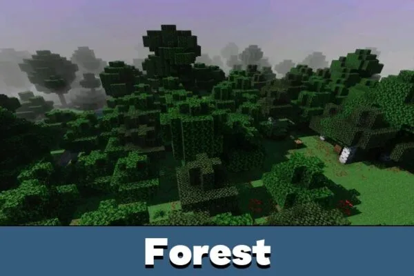 Forest from Tigrex Visual Shader for Minecraft PE