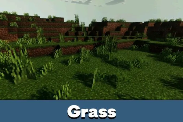 Grass from Chara Visual Shader for Minecraft PE