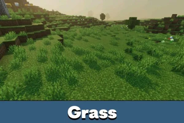 Grass from Lunastra Visual Shader for Minecraft PE