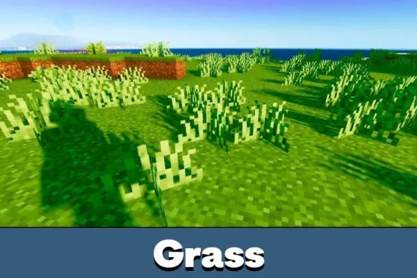 Grass from Luvid Visuals Shader for Minecraft PE