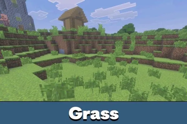 Grass from Pasta Shader for Minecraft PE