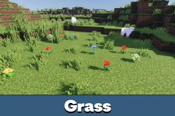 Grass from Solace Visuals Shader for Minecraft PE