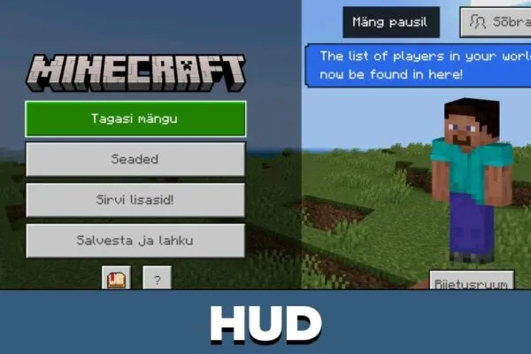 HUD from Estonian Language Texture Pack for Minecraft PE
